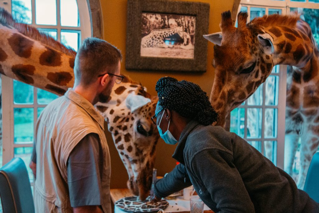 The staff at Giraffe Manor helping set up to take pictures at Giraffe Manor.