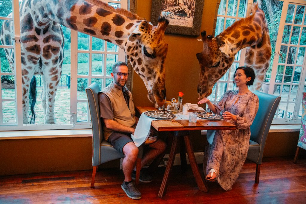 Two people sitting at a table with giraffes poking their heads through the windows.