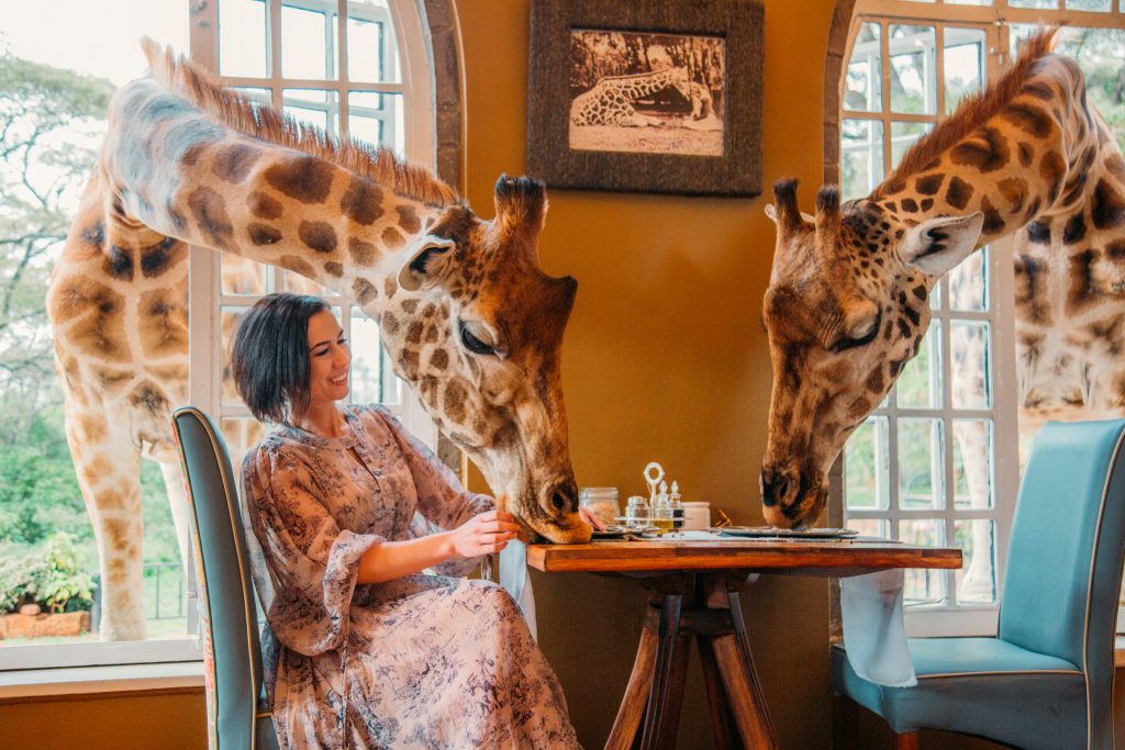 A woman sits at a small dining table for two next to large, open windows. Two giraffes poke their heads into the windows, their noses down, sniffing around the table.