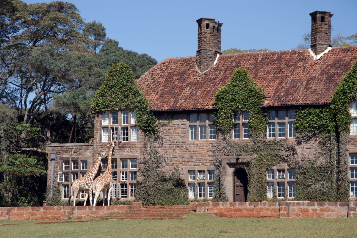 National Park for Rothschild Giraffes Giraffe Manor in Kenya