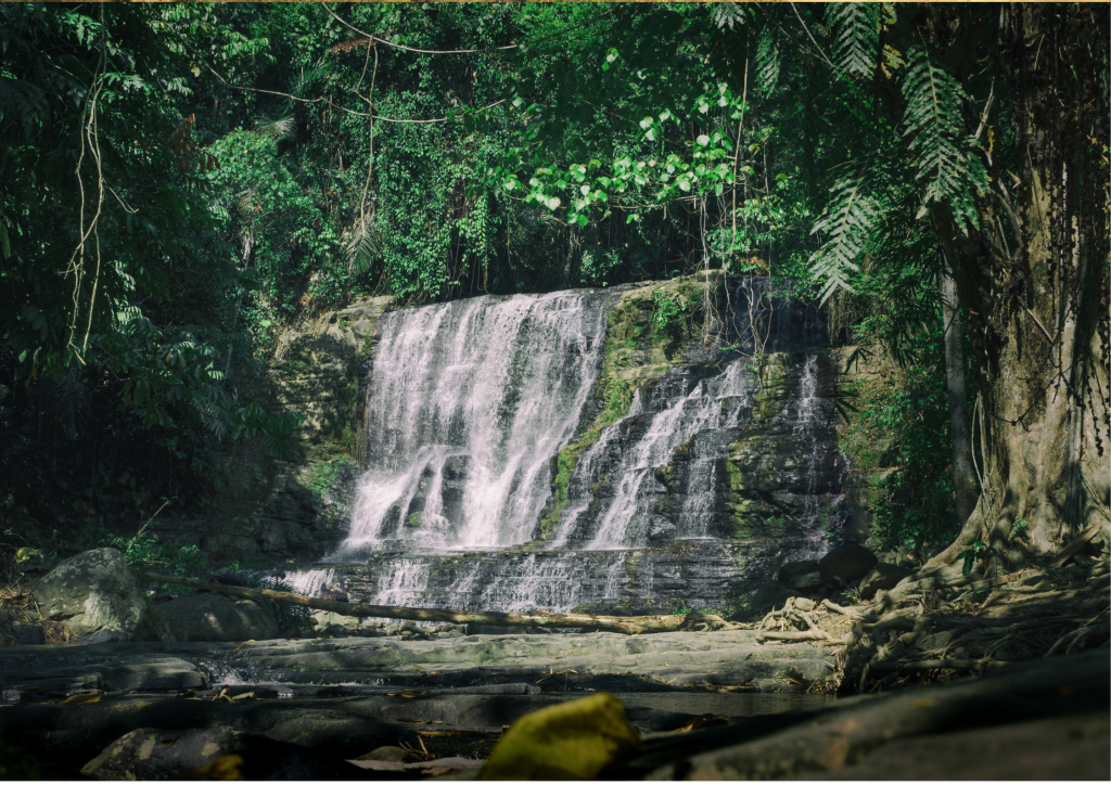 A stunning waterfall at Shimba Hills National Reserve.