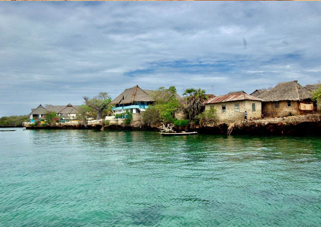 A group of houses on the shore of a body of water at Wasini Island.