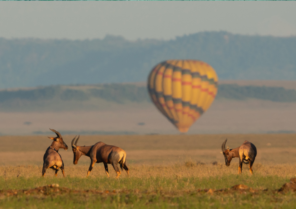 A hot air balloon in the sky over the Masai Mara National Reserve.