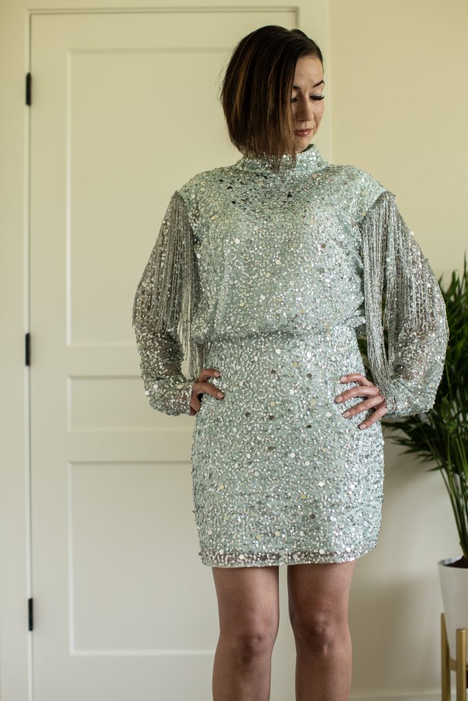 Embellished Sequin Fringe Trim Bodycon Mini Dress