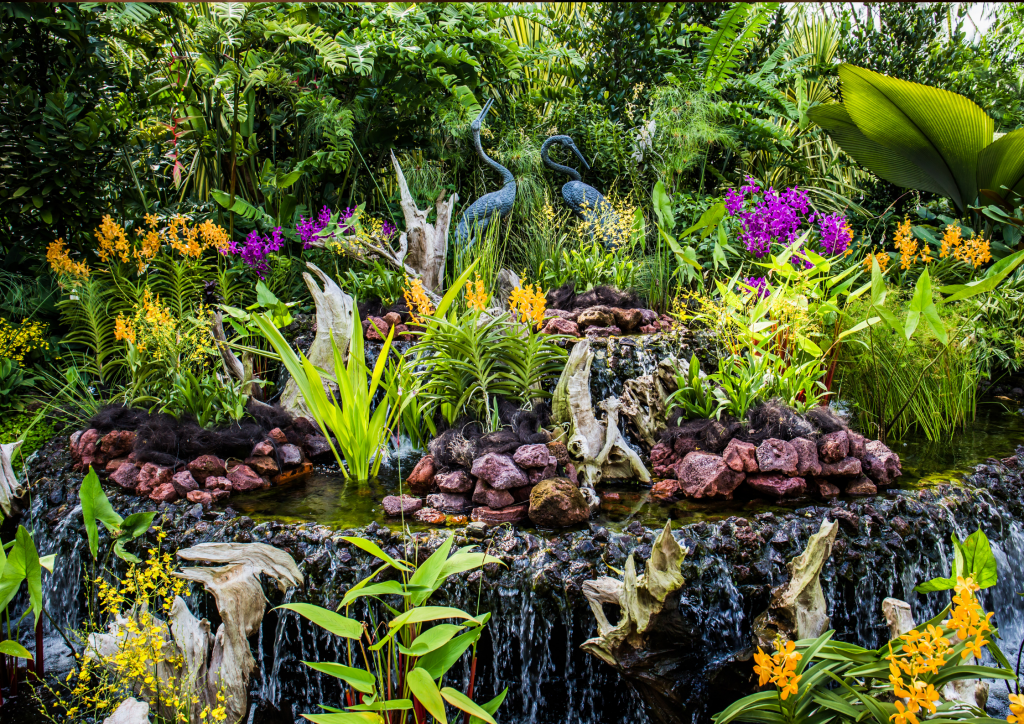 A tropical garden with a waterfall in the middle.