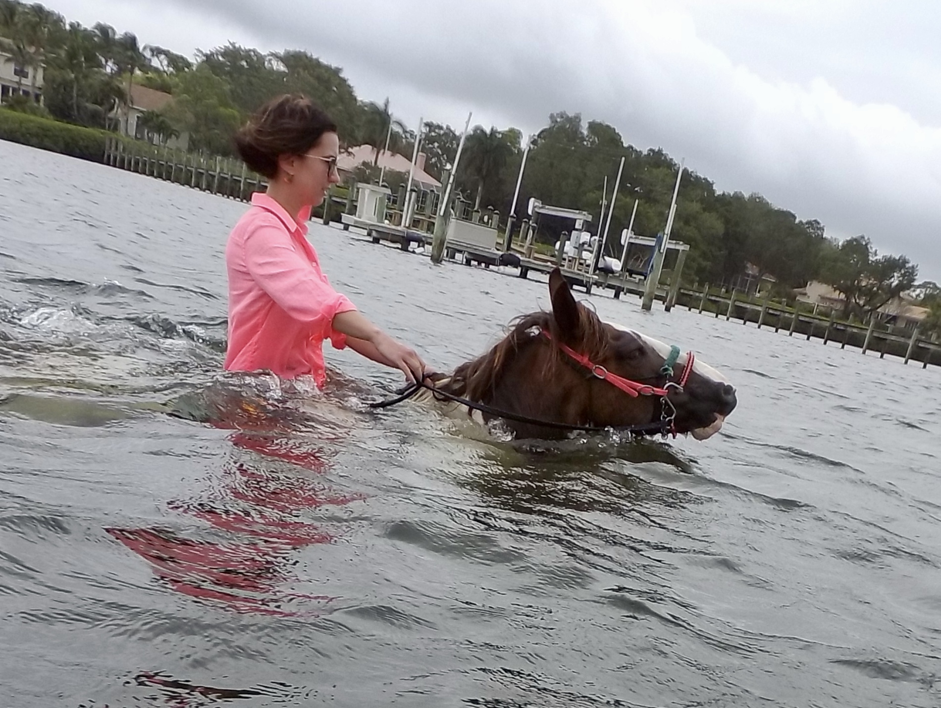 Lindsey of Have Clothes, Will Travel swimming with horses in Bradenton, Florida - great day trip from Ruskin!