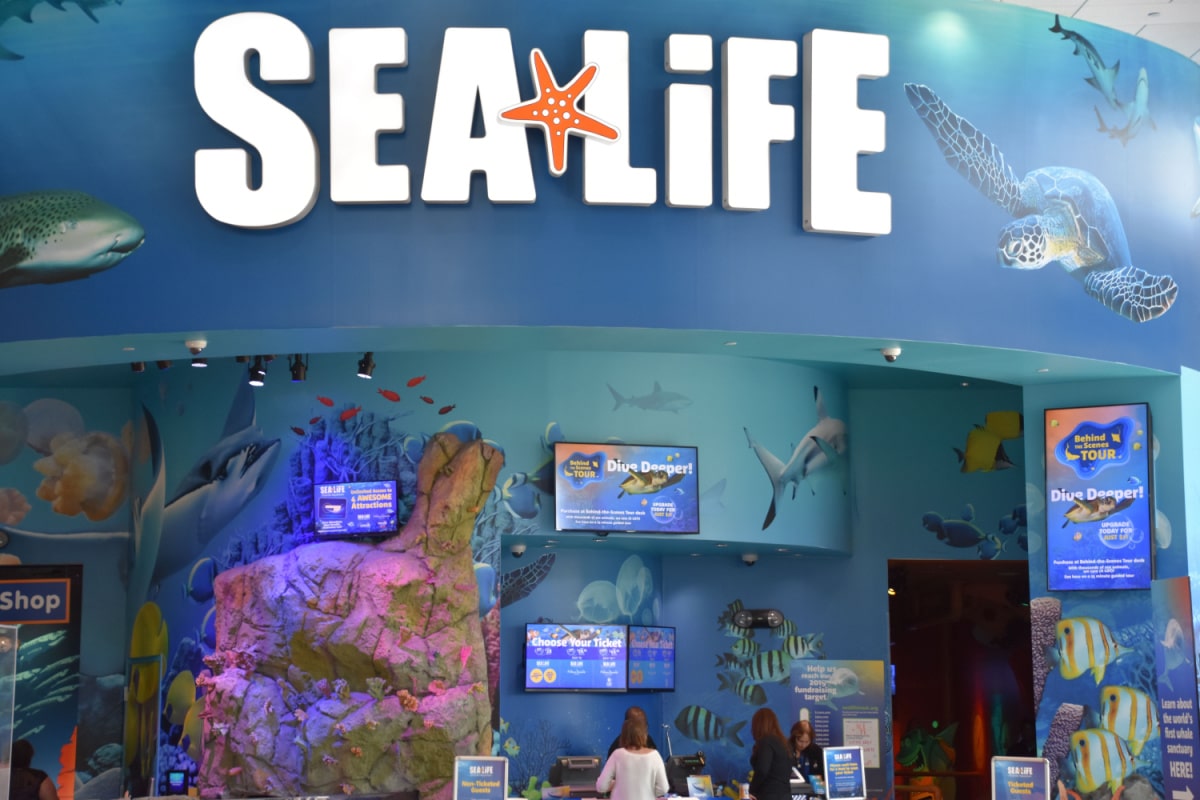 ORLANDO, FL – NOV 24: Sea Life Aquarium at ICON Park in Orlando, Florida, as seen on Nov 24, 2019. It has family-friendly exhibits with a variety of sea creatures.