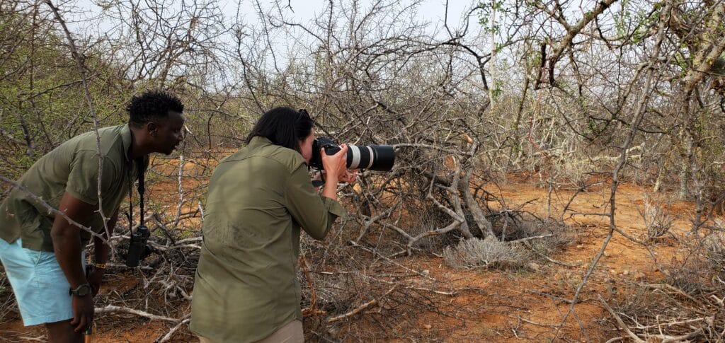 Taking photos of black rhinos on foot