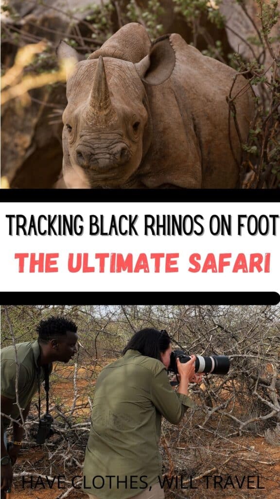 Tracking Black Rhinos ON FOOT – My Experience With Saruni Rhino Lodge in Kenya