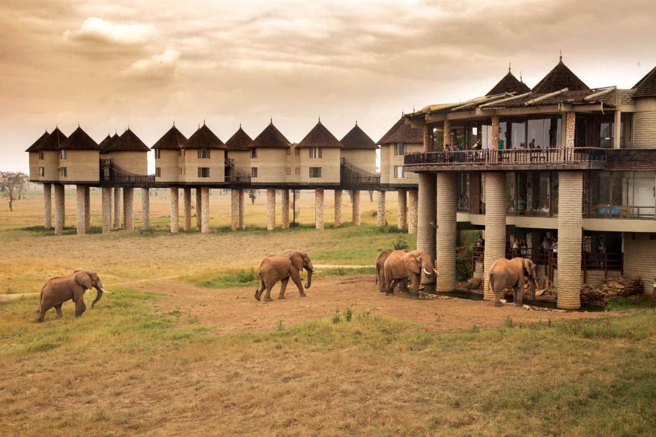 20 Unique Places to Stay in Kenya for an Unforgettable Trip