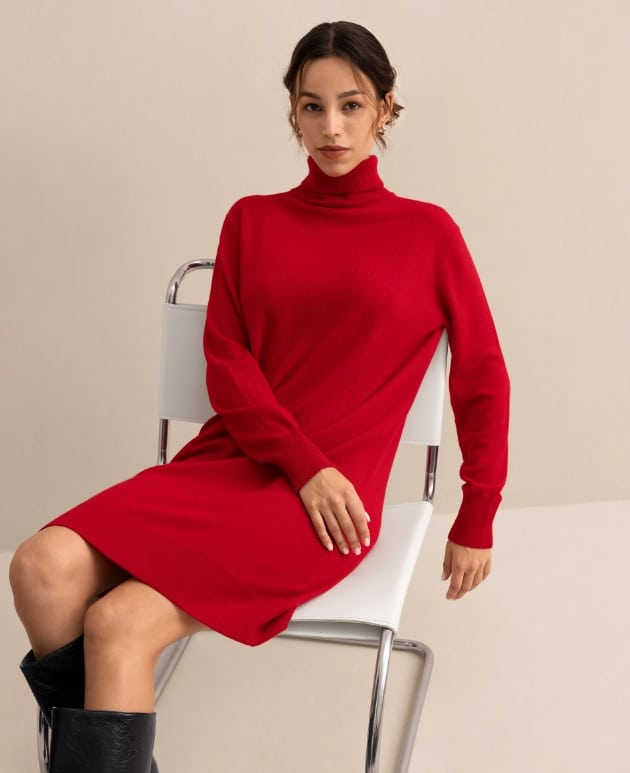 lilysilk turtleneck dress