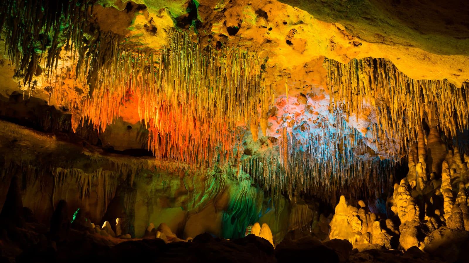 the Florida Caverns State Park (Marianna)