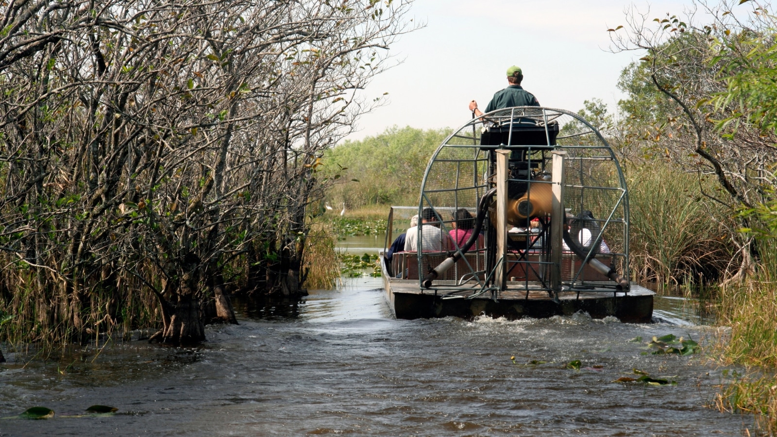 Visit Everglades National Park