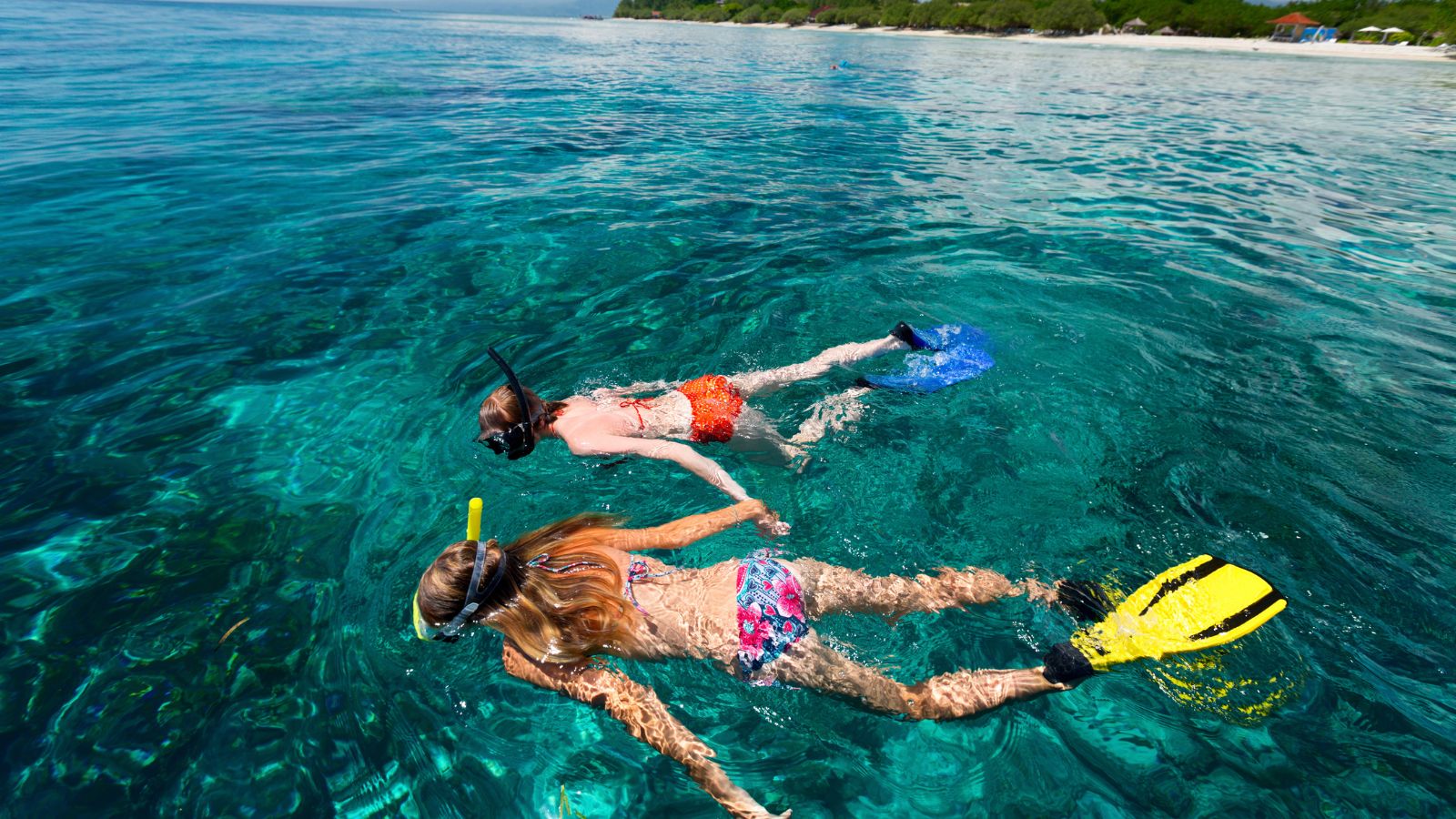 9.) Try Snorkeling and Shore Diving at Malcolm’s Road Beach