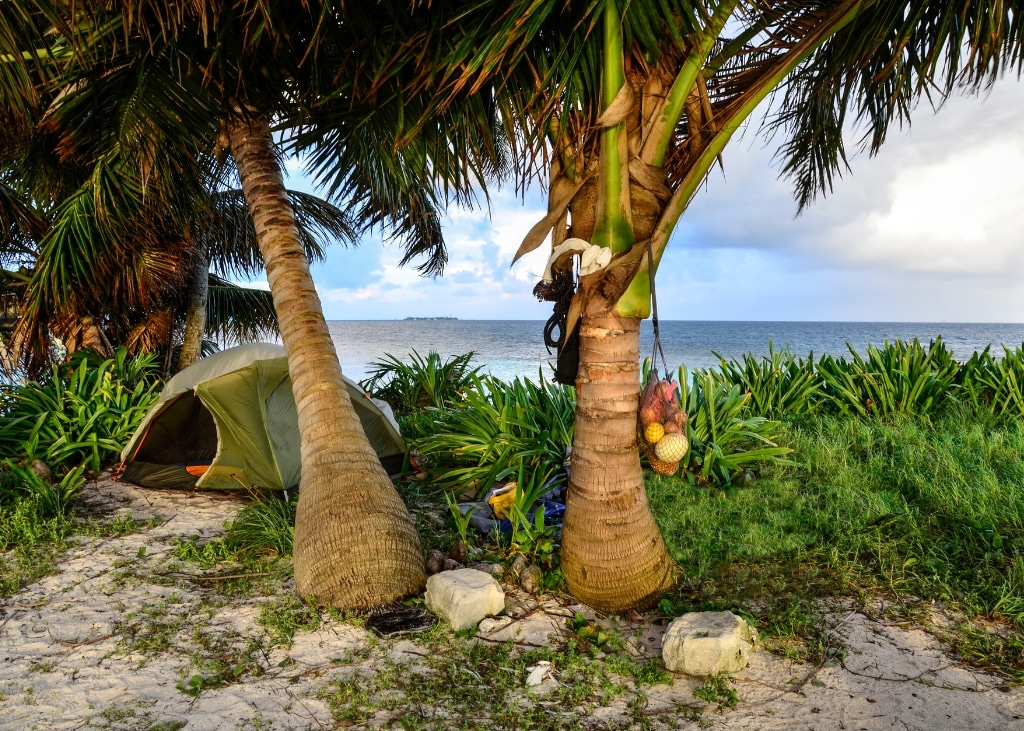 Tent set up in a tropical location with palm trees and the ocean in the background.