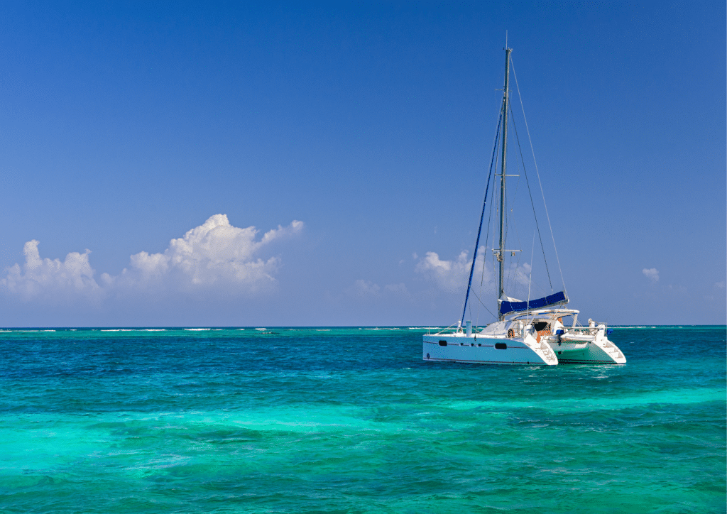 A catamaran in the ocean.