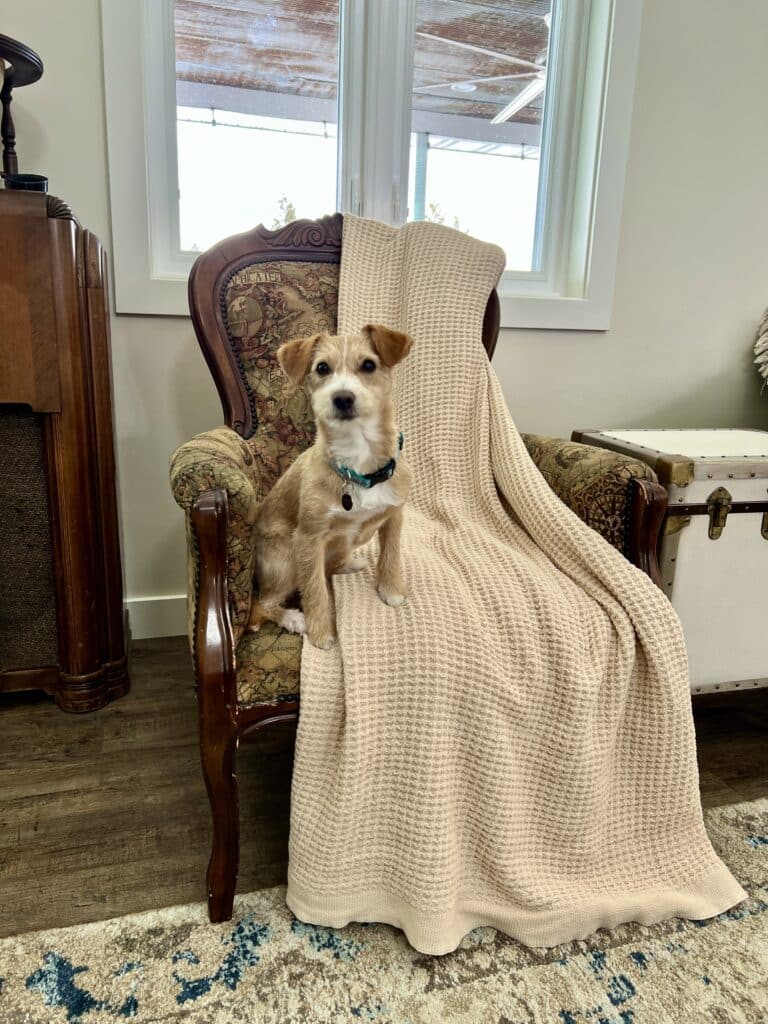 My Bedsure Cotton Blanket draped over a chair.