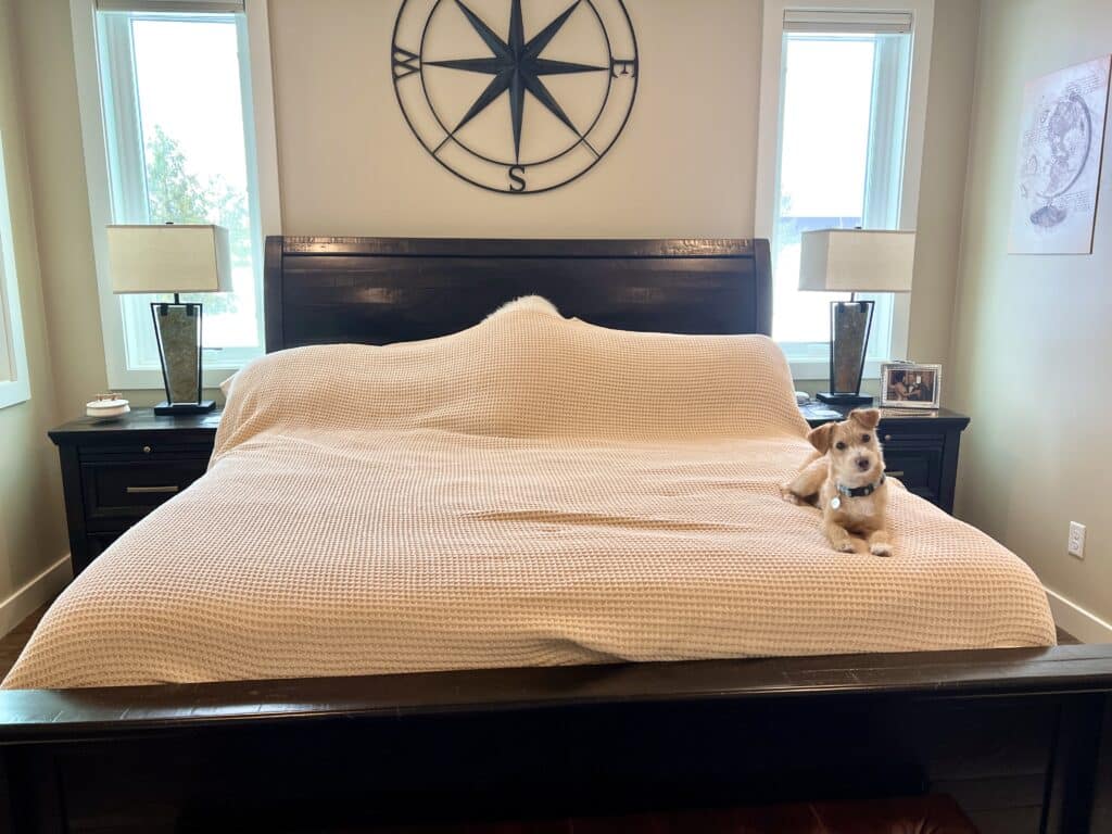 A king-sized bed covered in a Bedsure cotton blanket in a creamy beige color. A small dog sits on the corner of the bed.