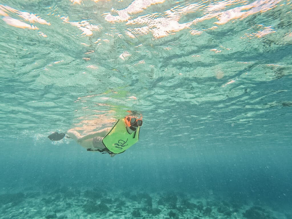 A person wearing a snorkel in the water.