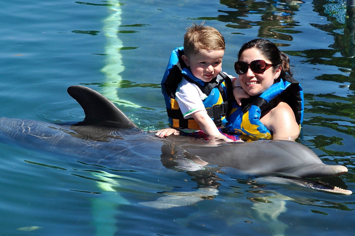Happy child and girl with dolphin in blue water at Dolphin Academy Curacao