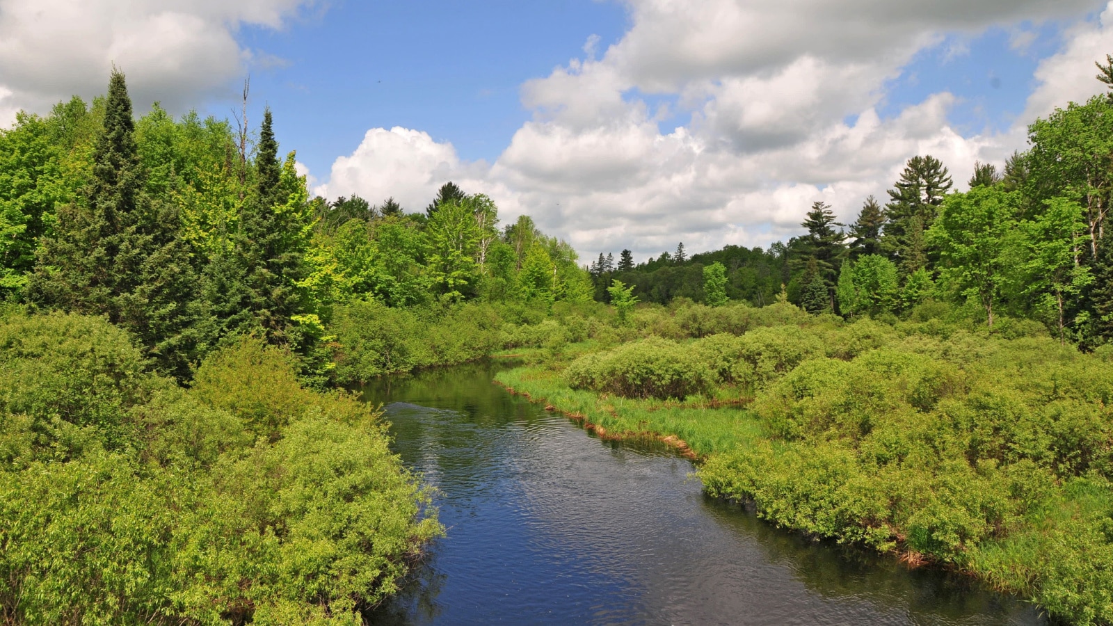 10 Great Places to Visit in Wisconsin for Nature Lovers