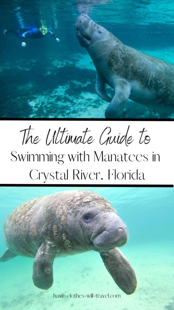The Ultimate Guide to Swimming with Manatees in Crystal River, Florida