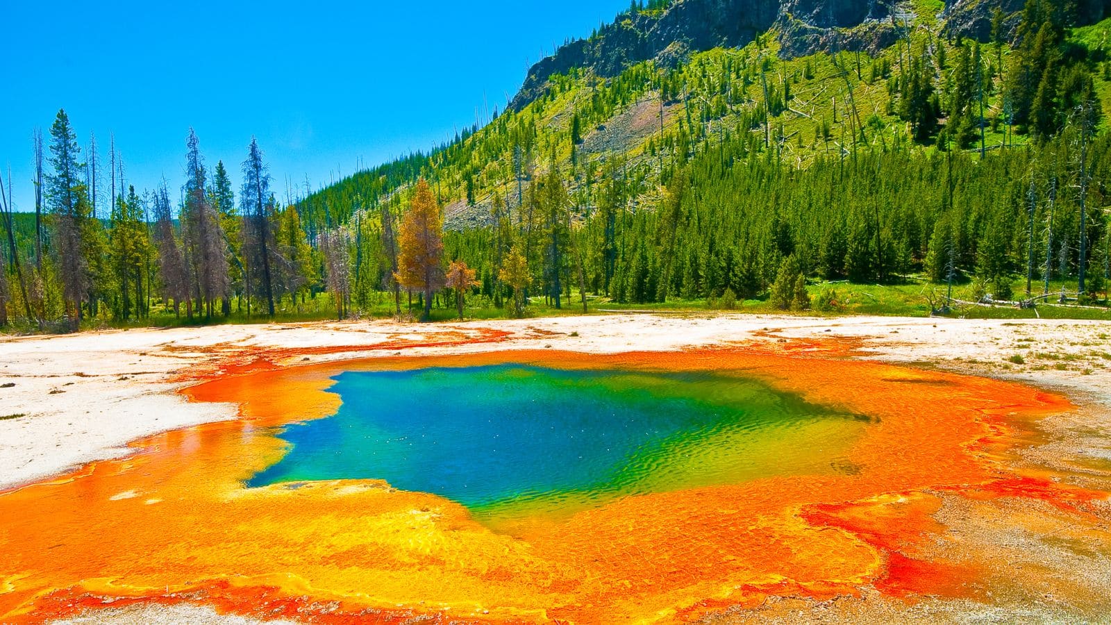 Yellowstone, Montana