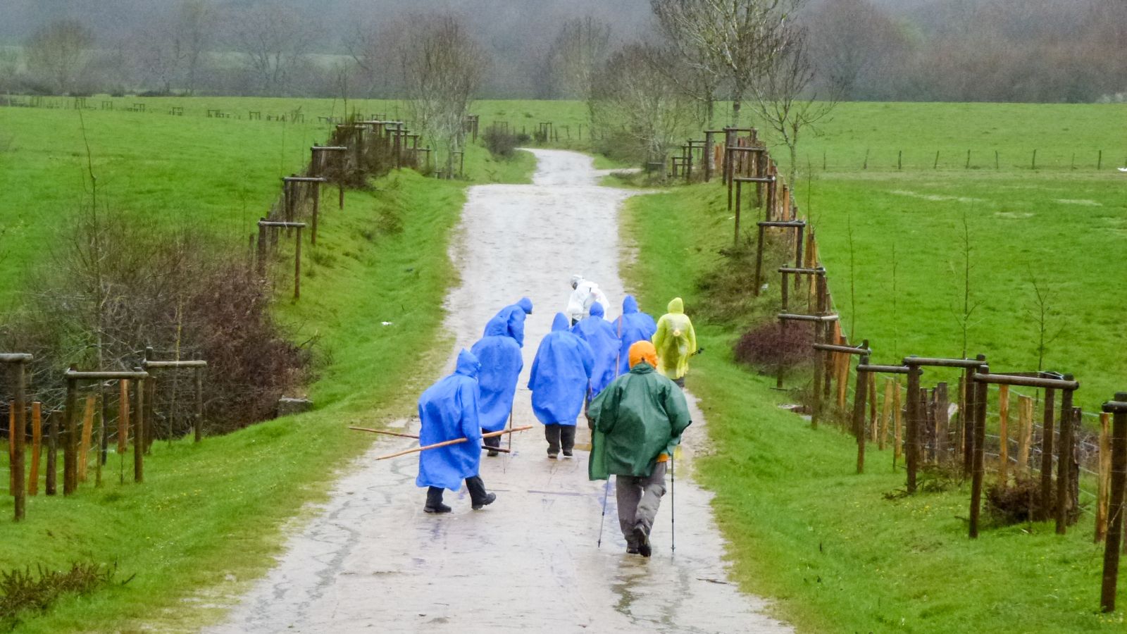 El Camino de Santiago