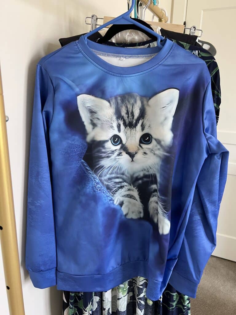 Light in the box cat sweatshirt