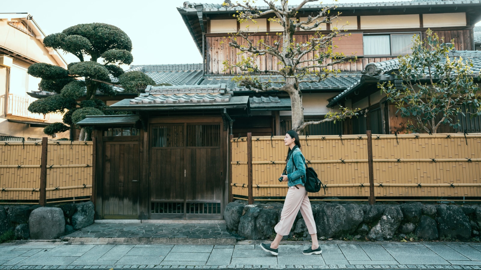 full length of young girl travel photographer walking along the bamboo walls of japanese style wooden house with trees and graden inside. woman backpacker on street road in town city kyoto japan.