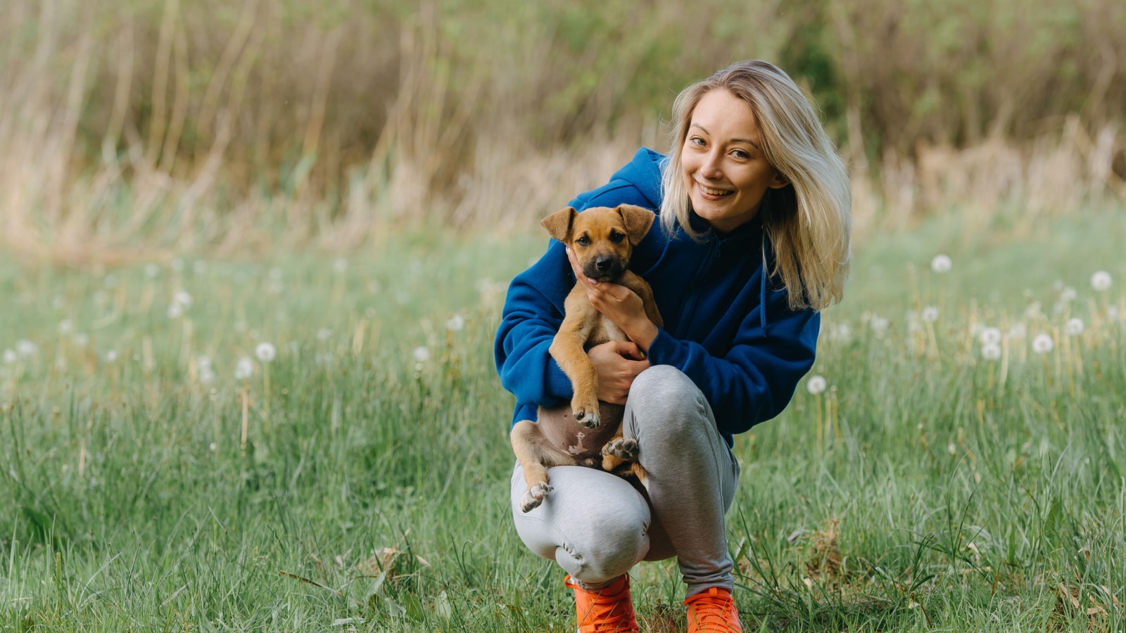 A blondie girl wearing blue hoodie, orange sneakers and grey joggers holds a cute brown mongrel puppy sitting in the middle of green spring meadow