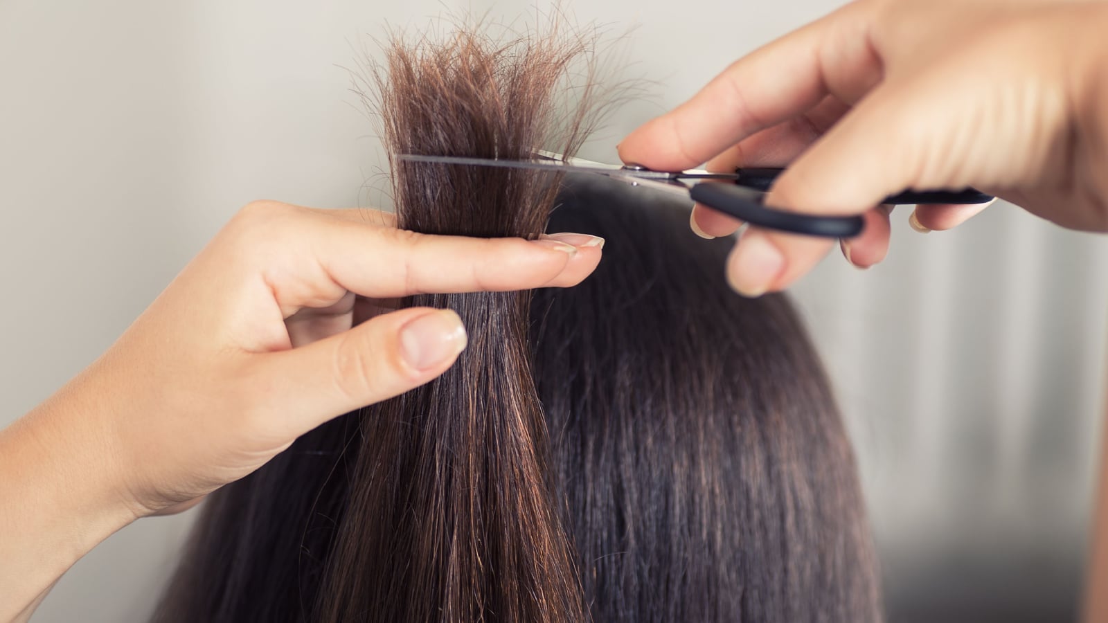 Hairdresser trimming brown hair with scissors. Haircut closeup. Getting rid of those split ends