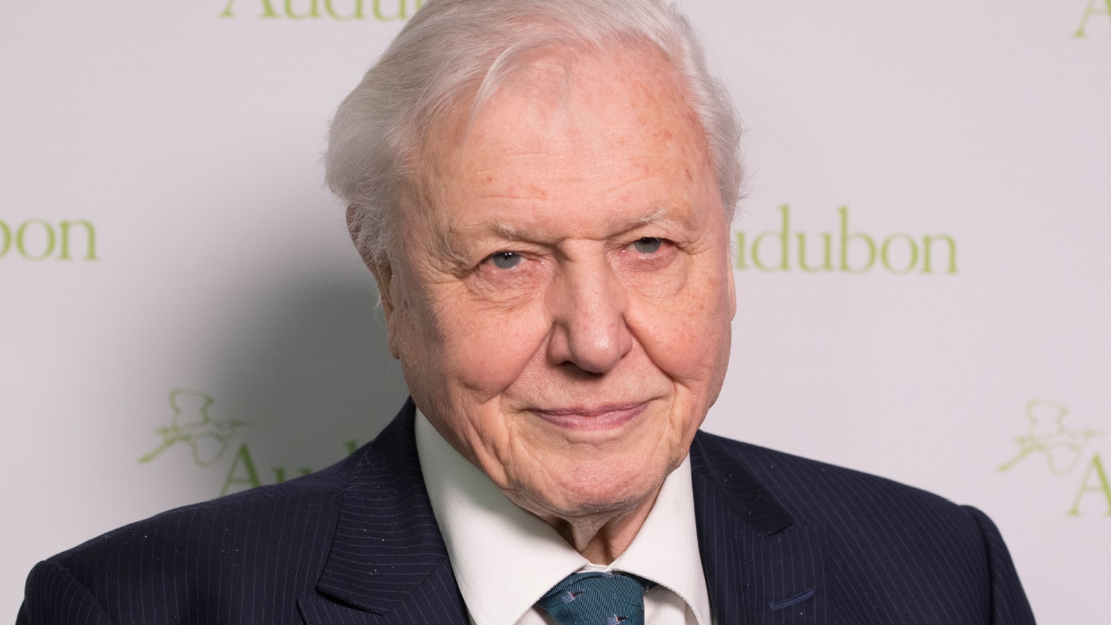 New York, NY - March 1, 2018: Sir David Attenborough attends National Audubon Society Annual Gala at Rainbow Room