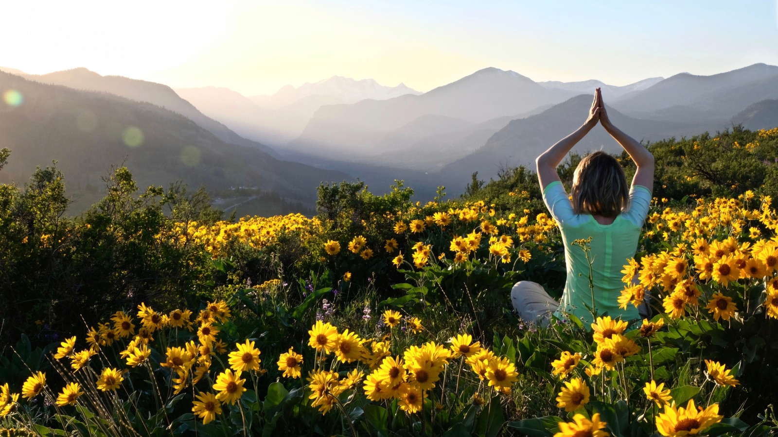 Woman in yoga pose among Sunflowers in meadows. Beautiful view of Cascade Mountains at sunrise. Winthrop. Patterson Mountain. Seattle. Washington. United States Twisp