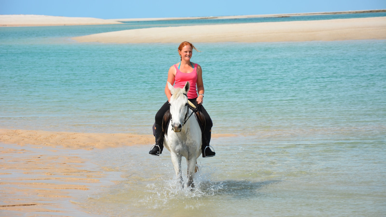 Woman on beautiful white horse riding on beach with sand and swimming in blue ocean sea water. Sunny warm day on holiday in Mozamzique, Africa.