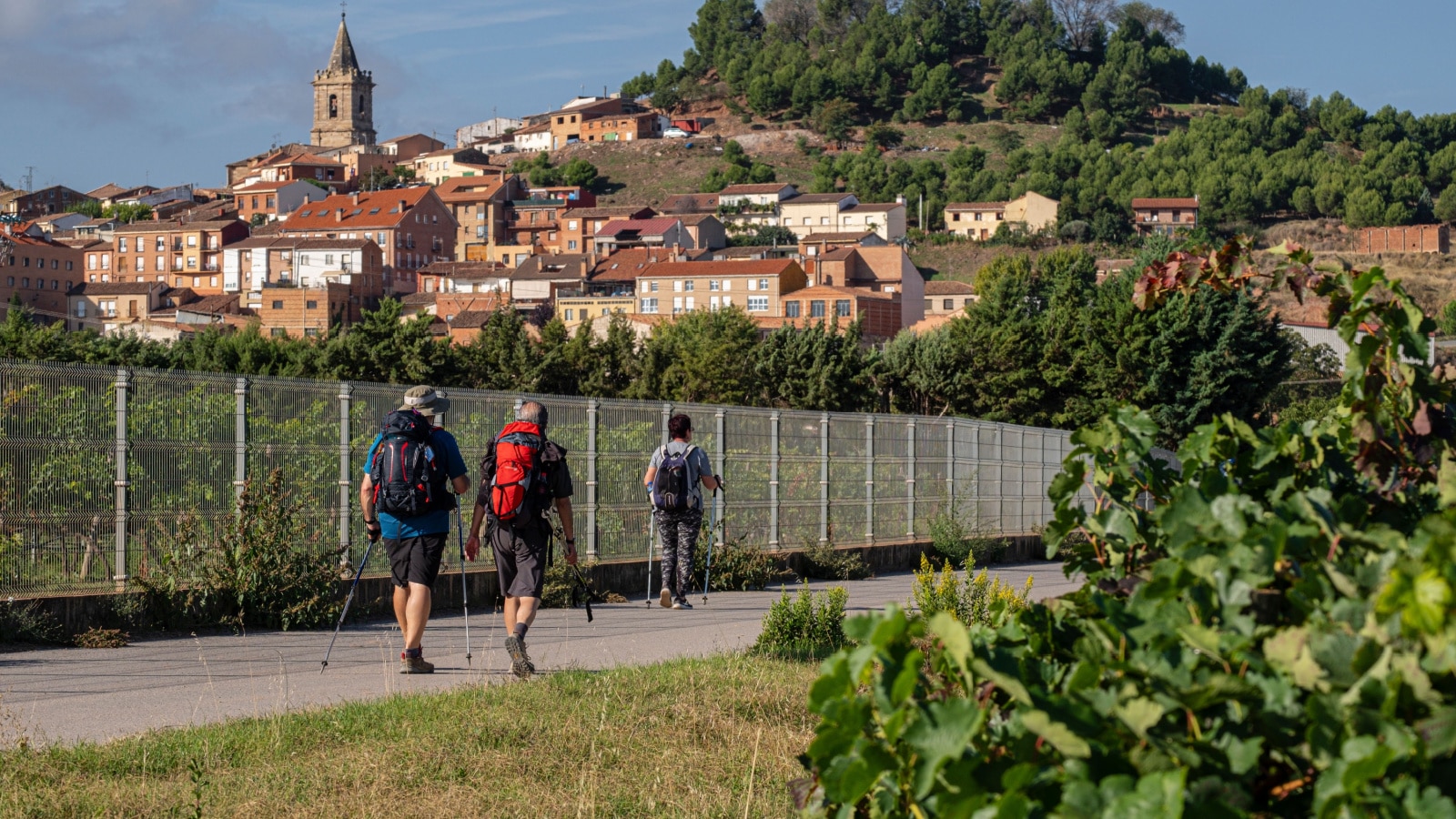 peregrinos realizando el camino de Santiago, Navarrete, La Rioja, Spain