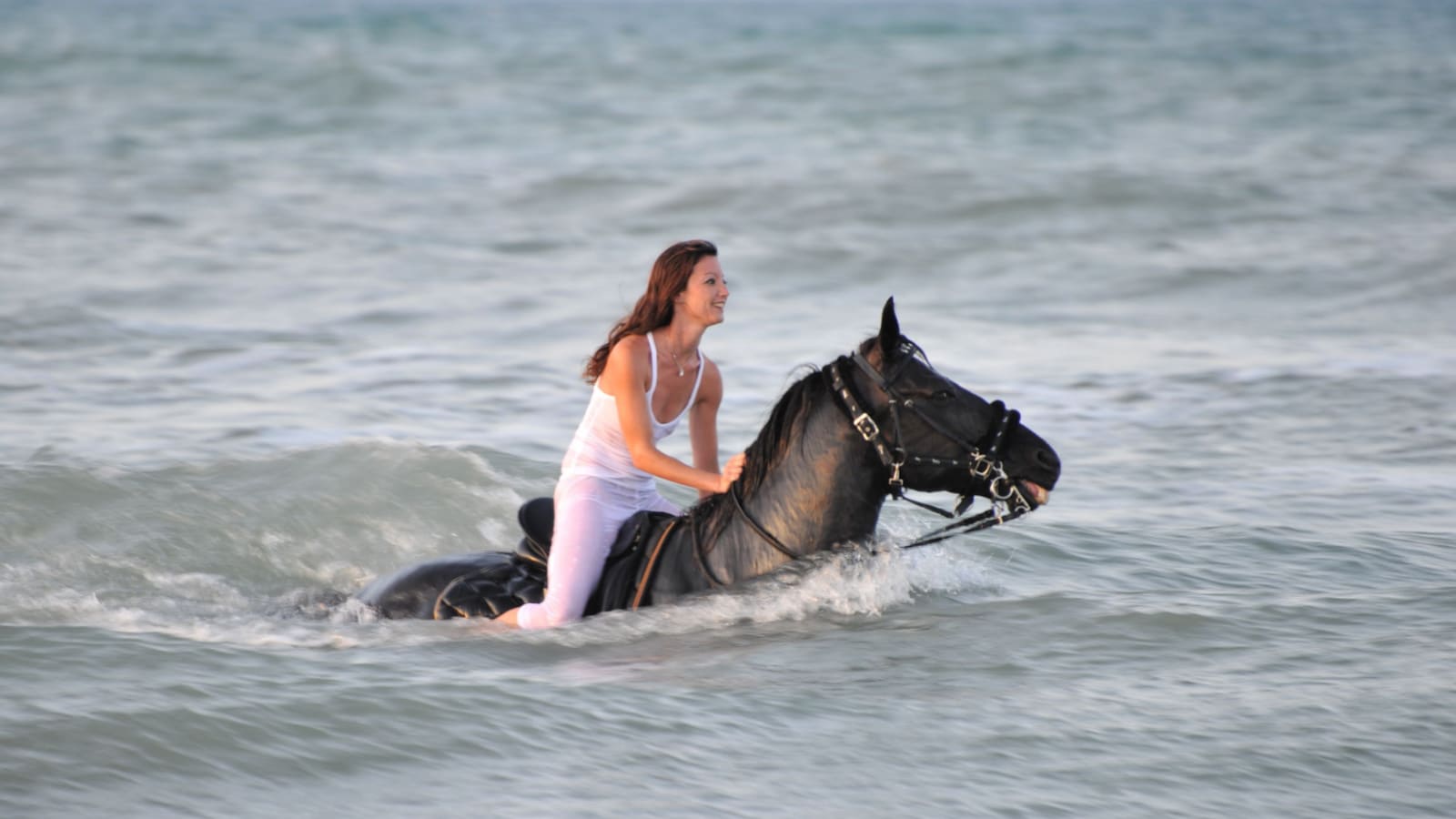 young woman swimming winth her black stallion in the sea