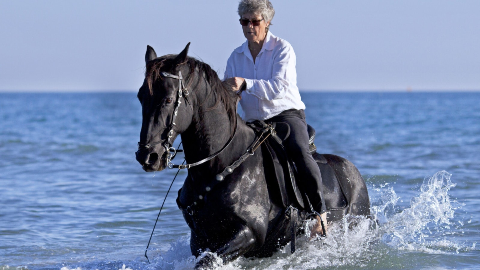 horsewoman and her horse in the sea