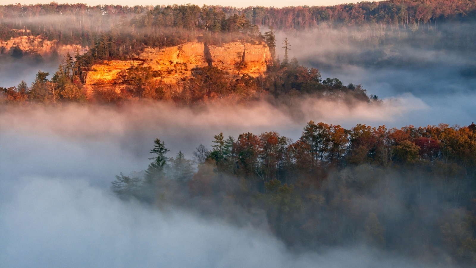 A grand view of cliff faces in the fog in the Red River Gorge in Kentucky