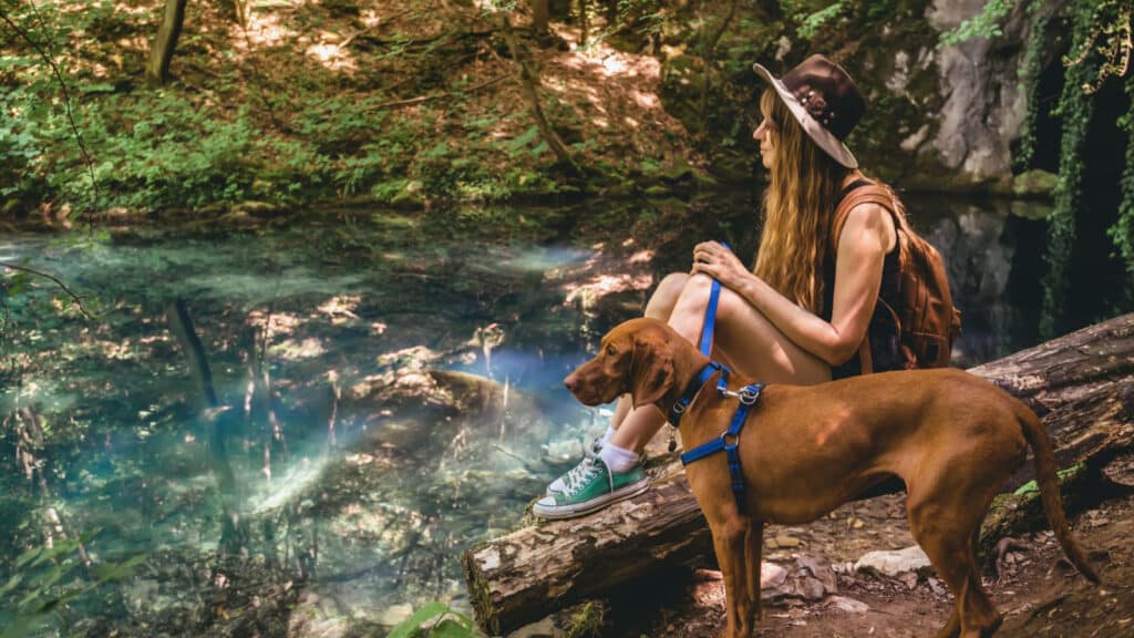 Young woman traveling with dog. Girl in fedora hat and backpack sitting on log with Hungarian Vizsla and watching mountain waterfall in forest. Girl and her pet hiking and have a rest near lake.