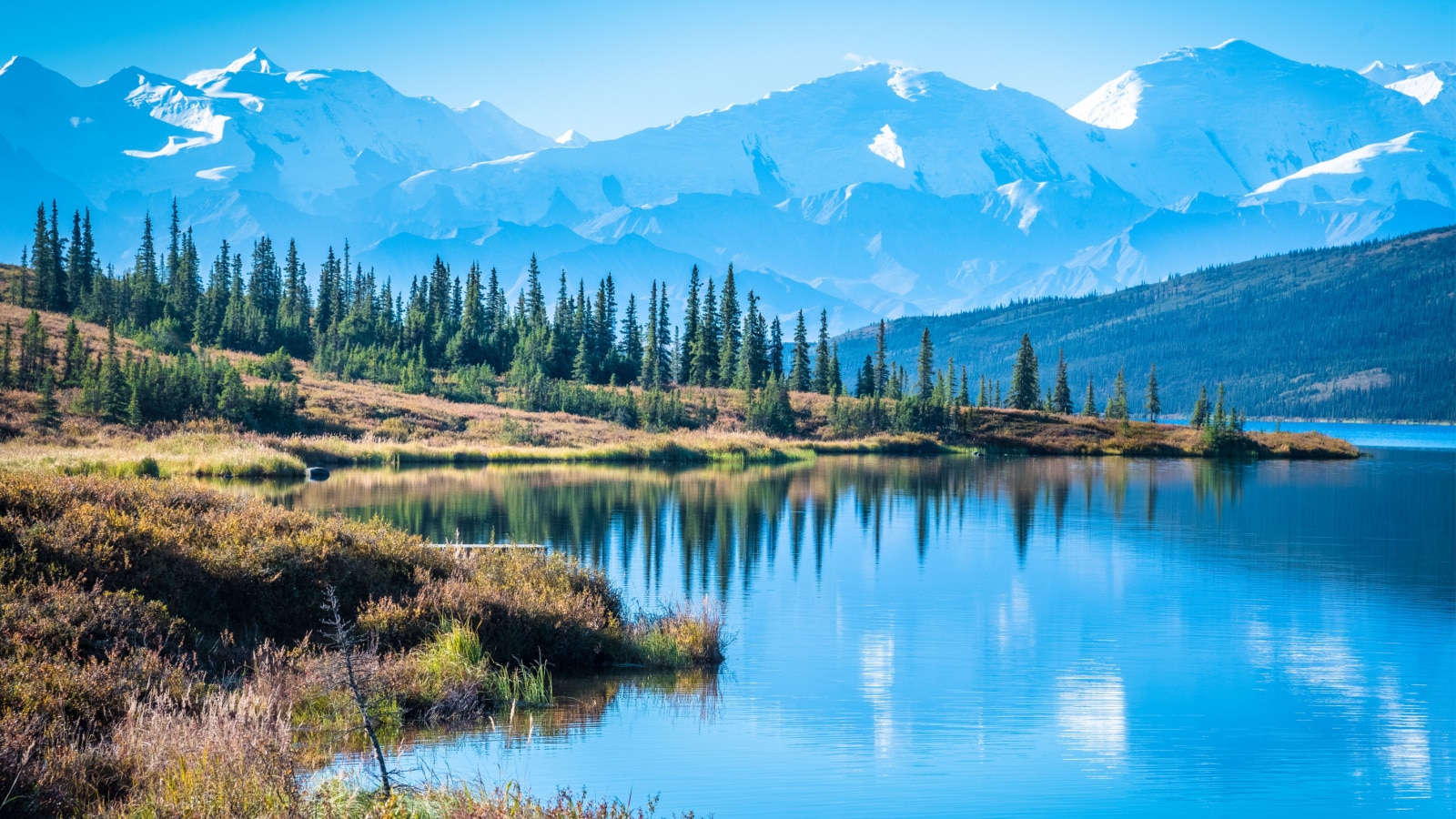 Denali National Park and Wonder lake with Mountain Background