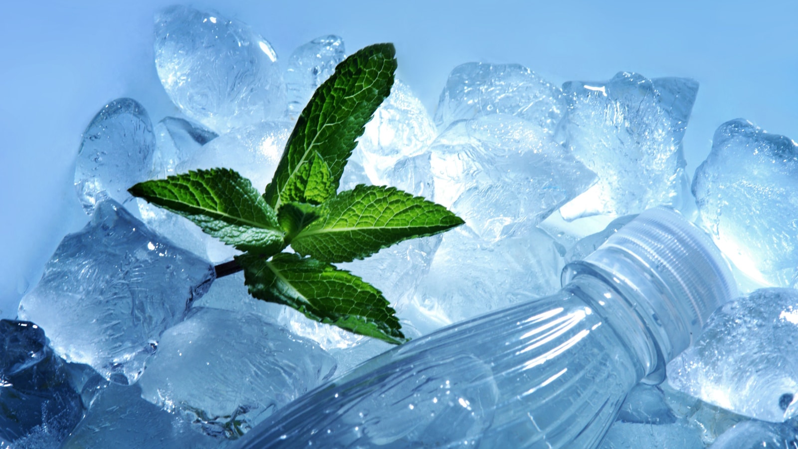 close up of plastic bottle of water and green mint leaves lying in ice cubes