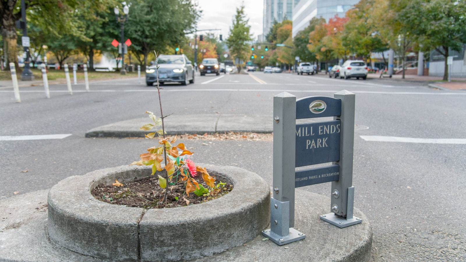 Portland, Oregon: October 13, 2019: Mill Ends Park, the world's smallest park. Mill Ends Park was dedicated in 1971.