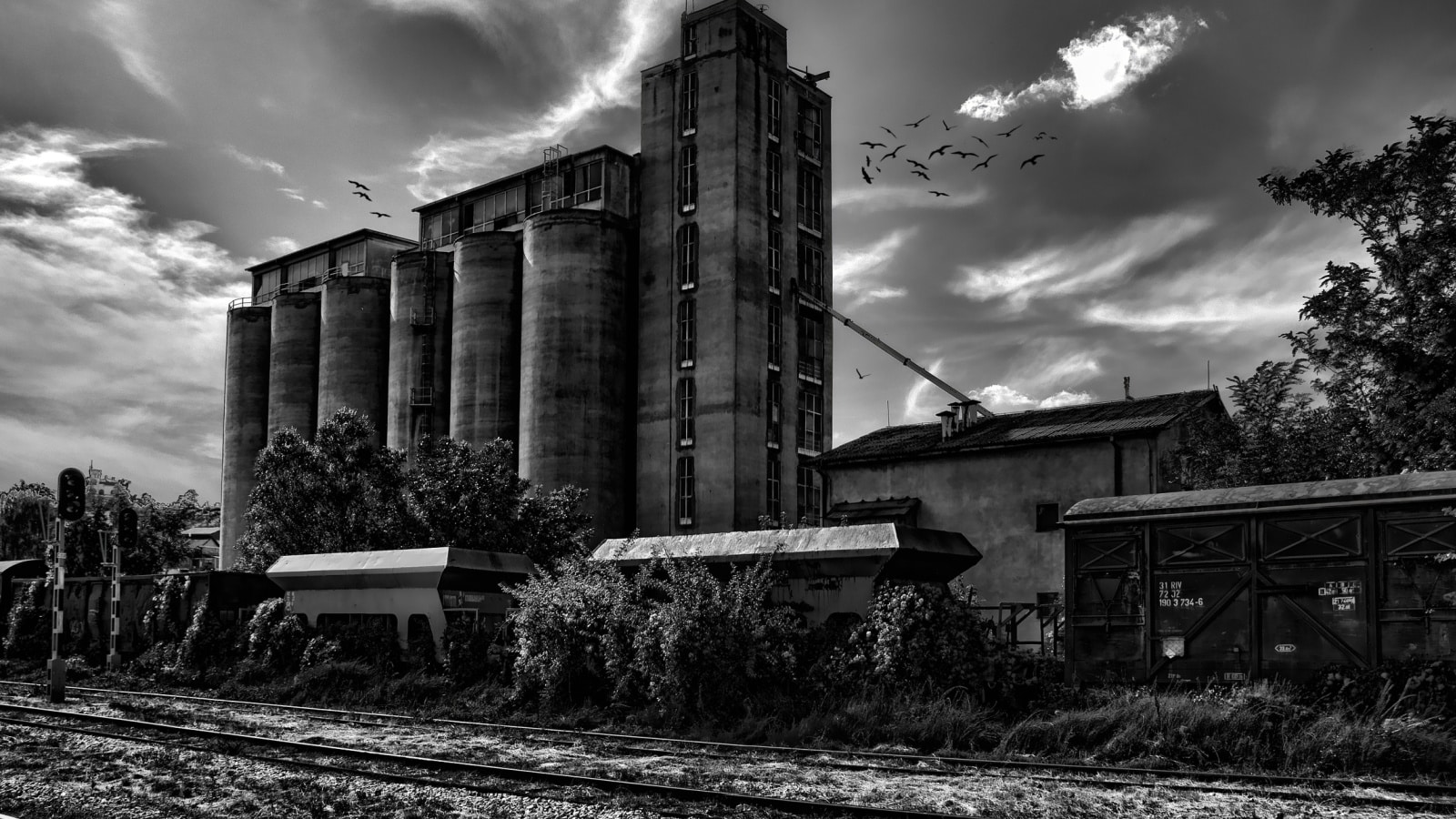 Spooky black and white photo of grain elevator and railroad with flock of black birds.