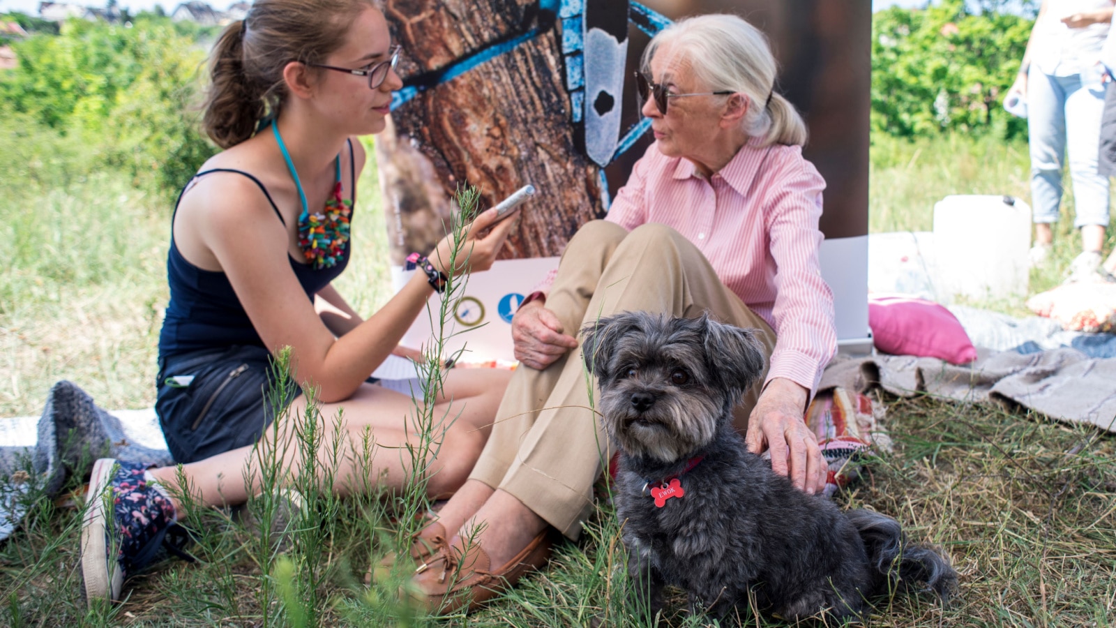 Budapest, Hungary - August 09, 2019: Jane Goodall petting a dog while interview