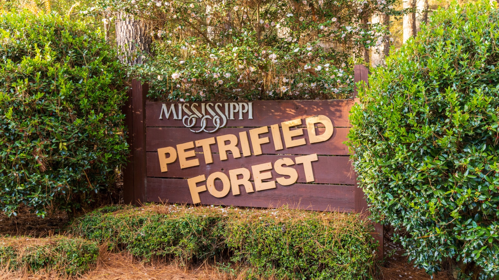 Flora, MS, USA - November 24, 2020: Mississippi Petrified Forest Entrance sign