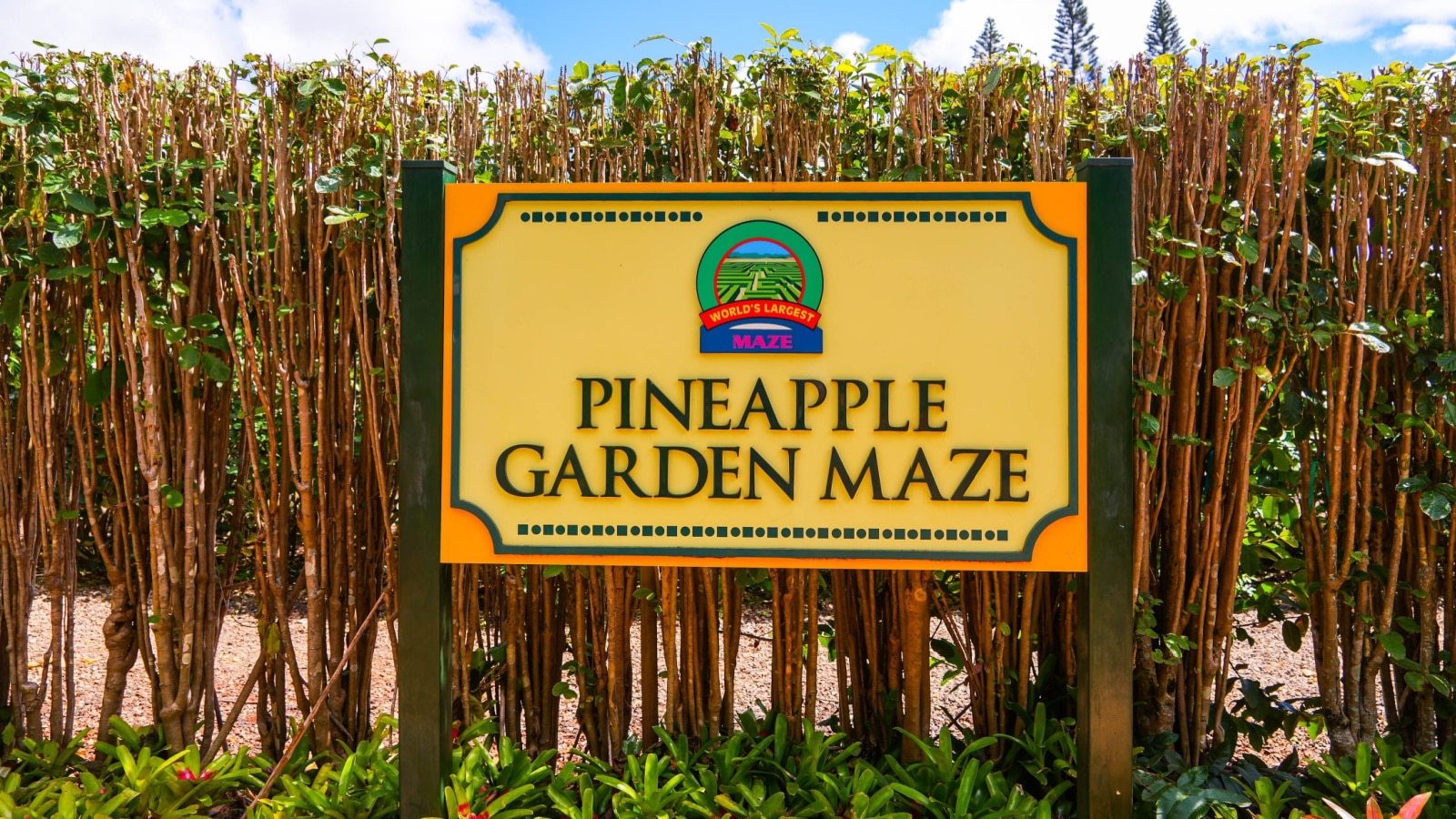 Wahiawa, Hawaii - February 21, 2022 : Pineapple Garden Maze entrance sign at the Dole Pineapple Plantation in the central valley of O'ahu island in Hawaii, USA
