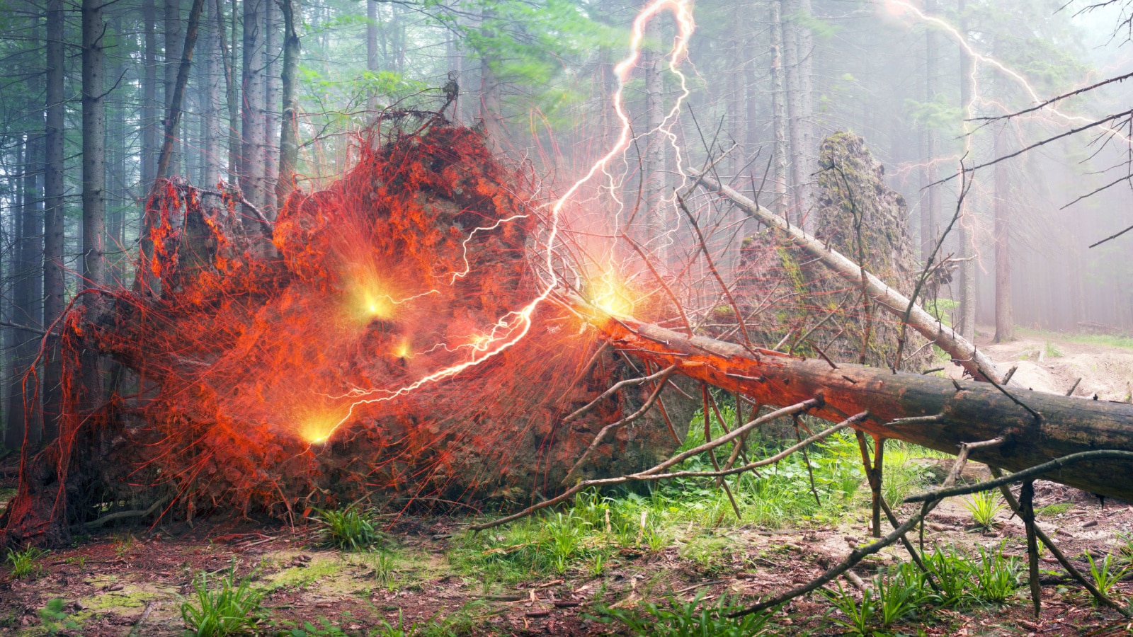 Lightning during a storm hit the tree and caught fire dangerous fire. Carpathian Mountains - a legendary place and a fabulous beauty and mystery, imagination and fantasy, fairy tale and reality