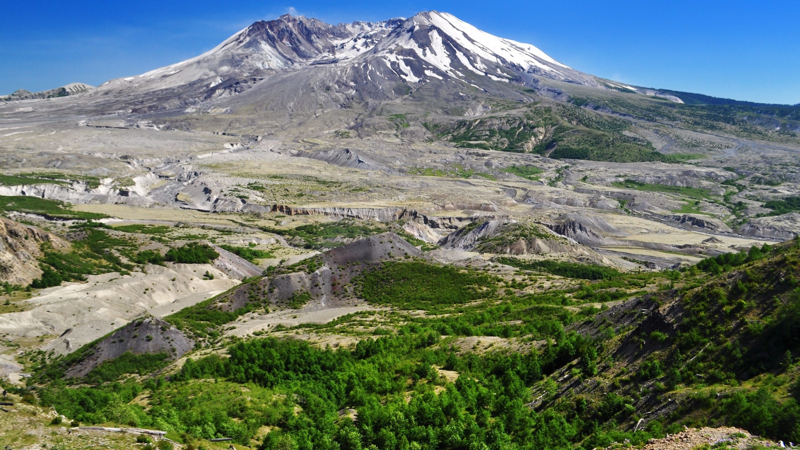A View of Mount Saint Helens summit