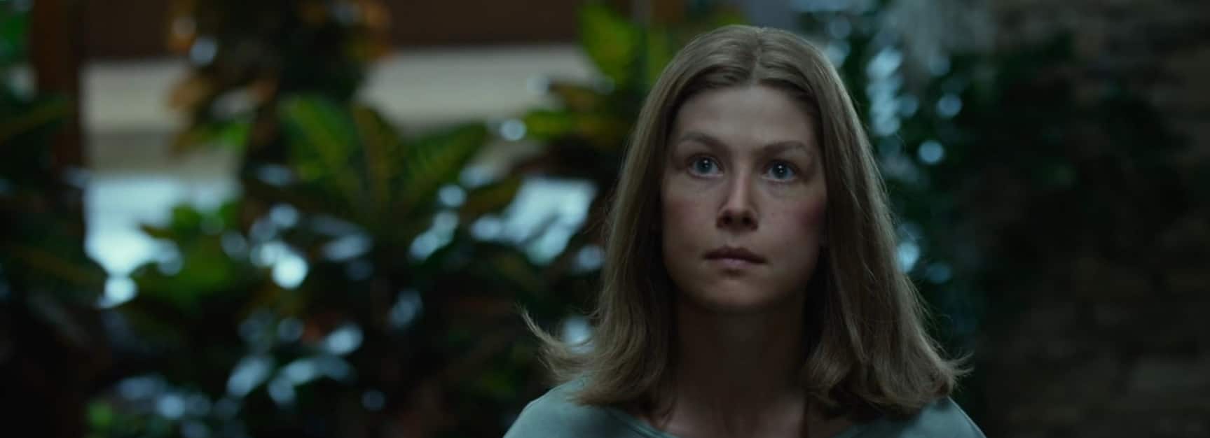 Rosamund Pike in Gone Girl (2014)